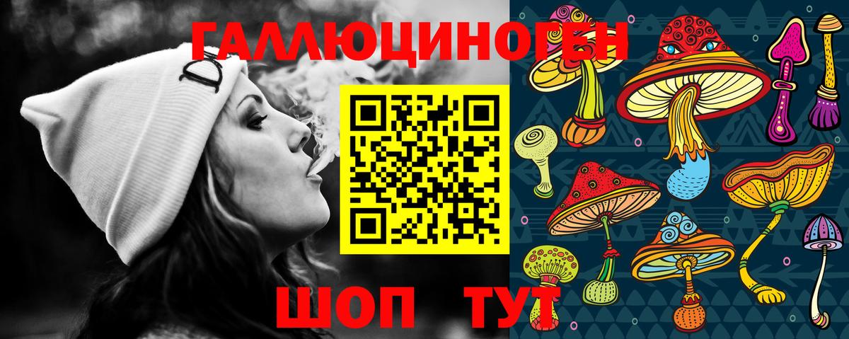 Псилоцибиновые грибы GOLDEN TEACHER Камышин