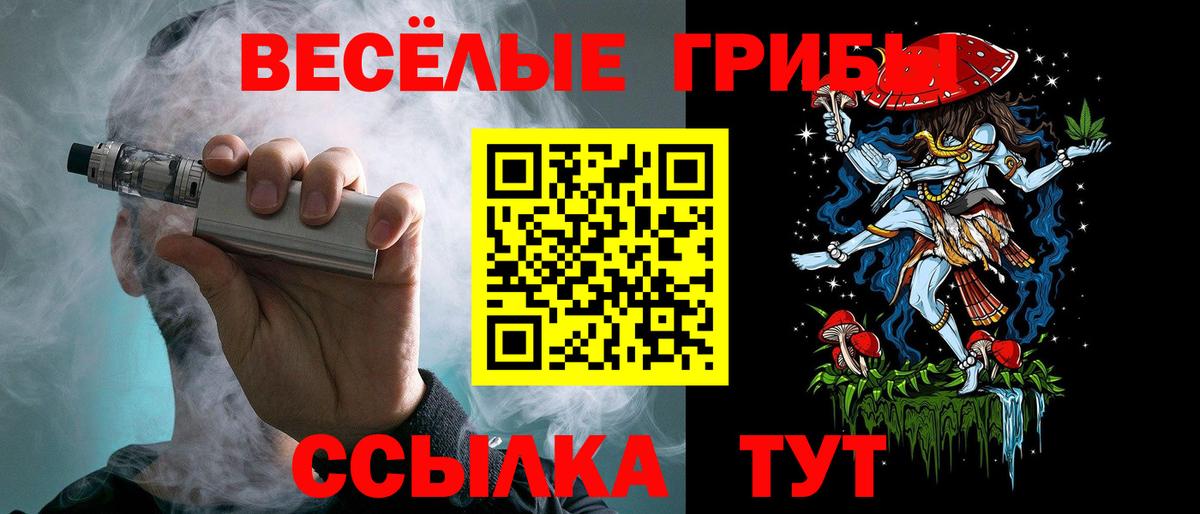 Камышин  Галлюциногенные грибы Psilocybe  Вход с VPN 