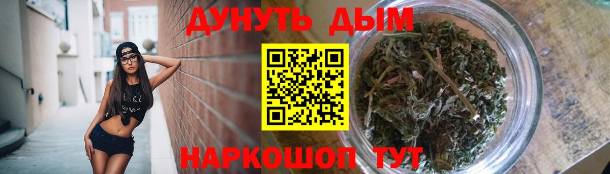 Конопля индика Камышин